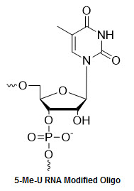 Bio-Synthesis Inc. Oligo Structure